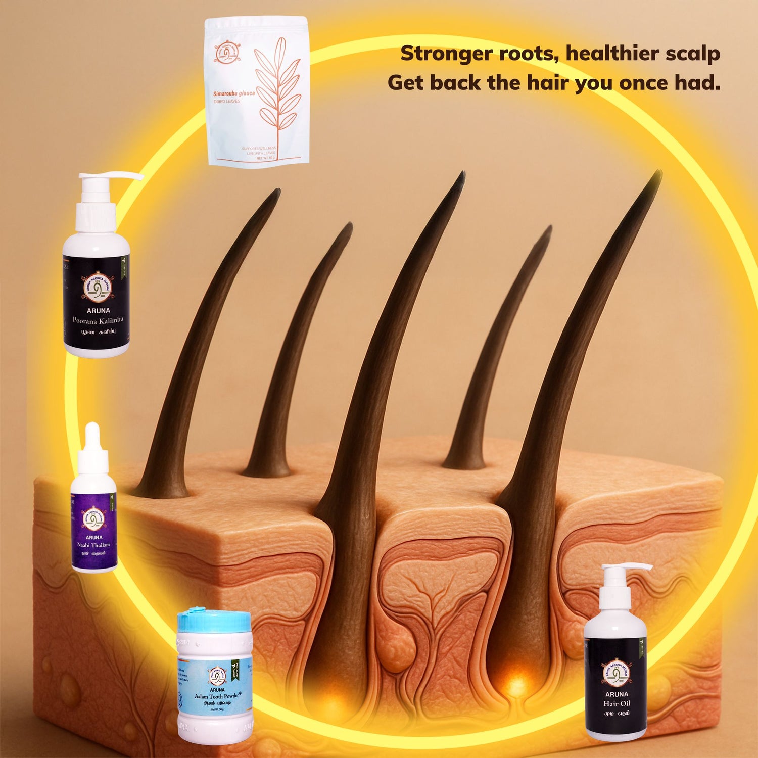 Hairfall, Dandruff & Scalp Health Bundle