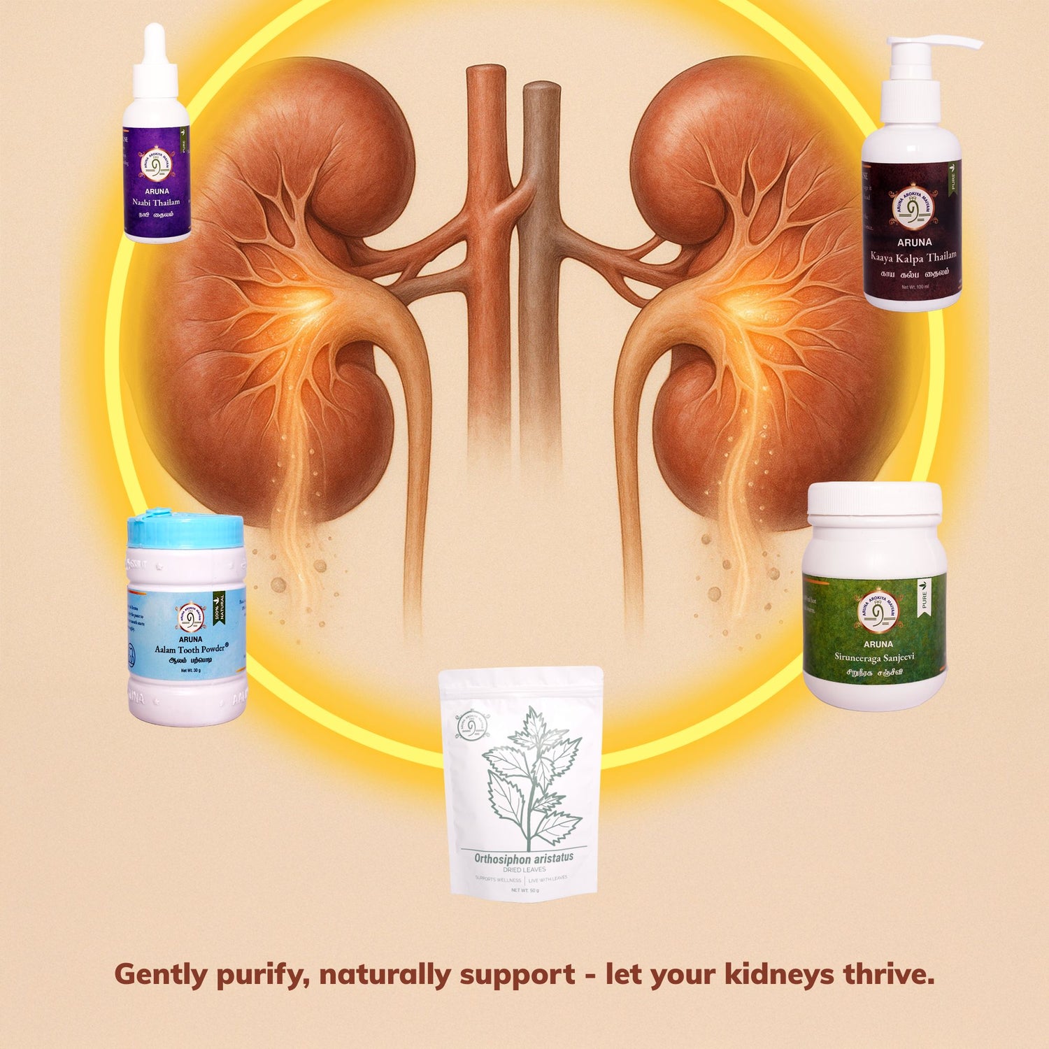 Kidney  Detoxification