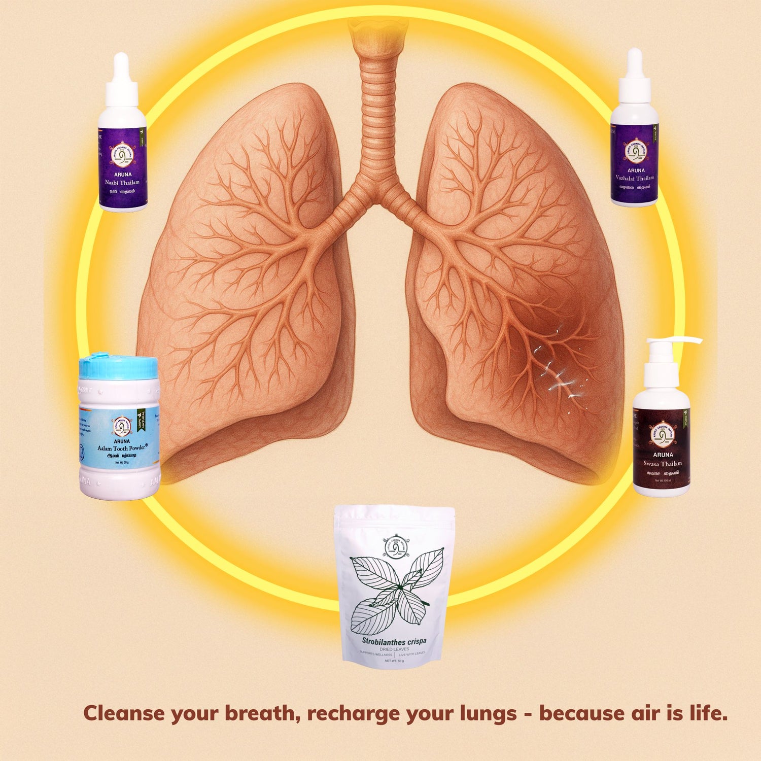Lungs Detoxification