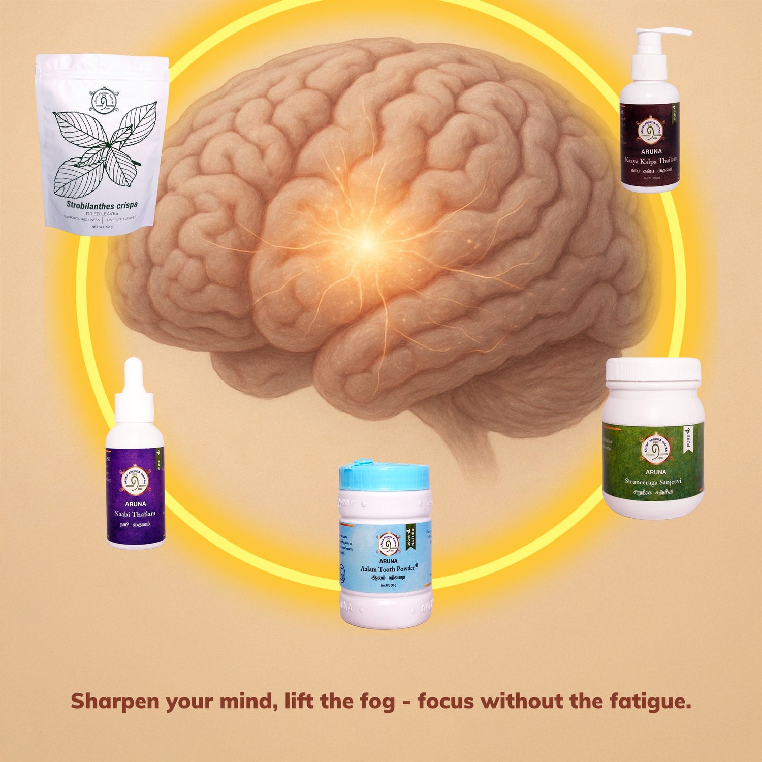 Mental Clarity & Focus Bundle