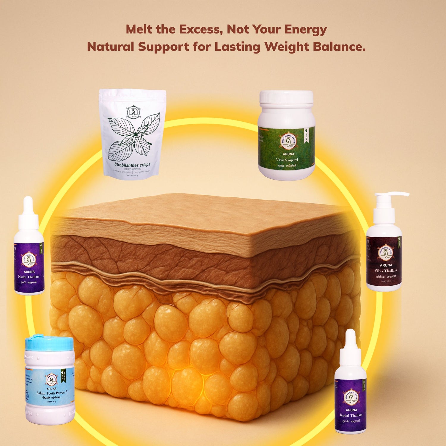 Obesity & Weight Management Bundle