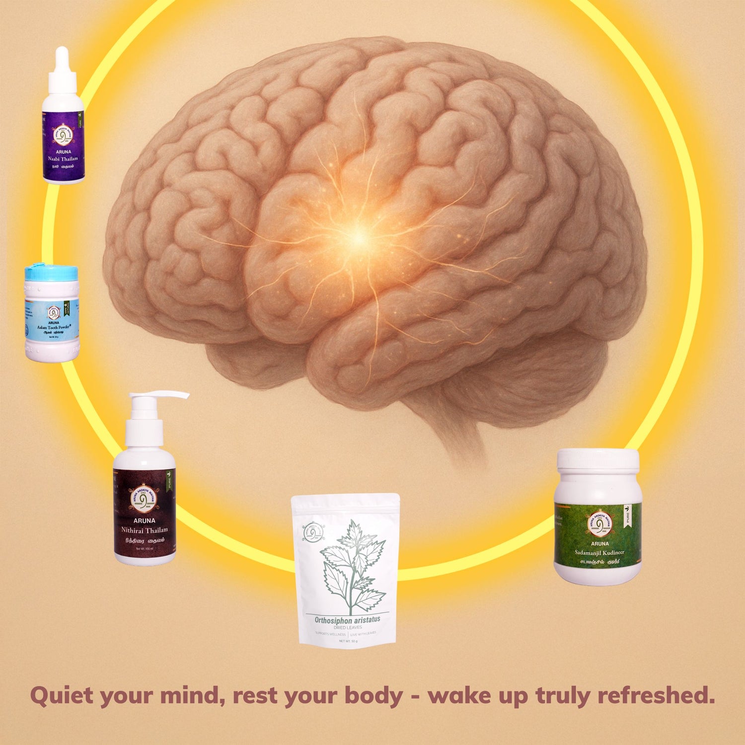 Sleep Disorder Bundle