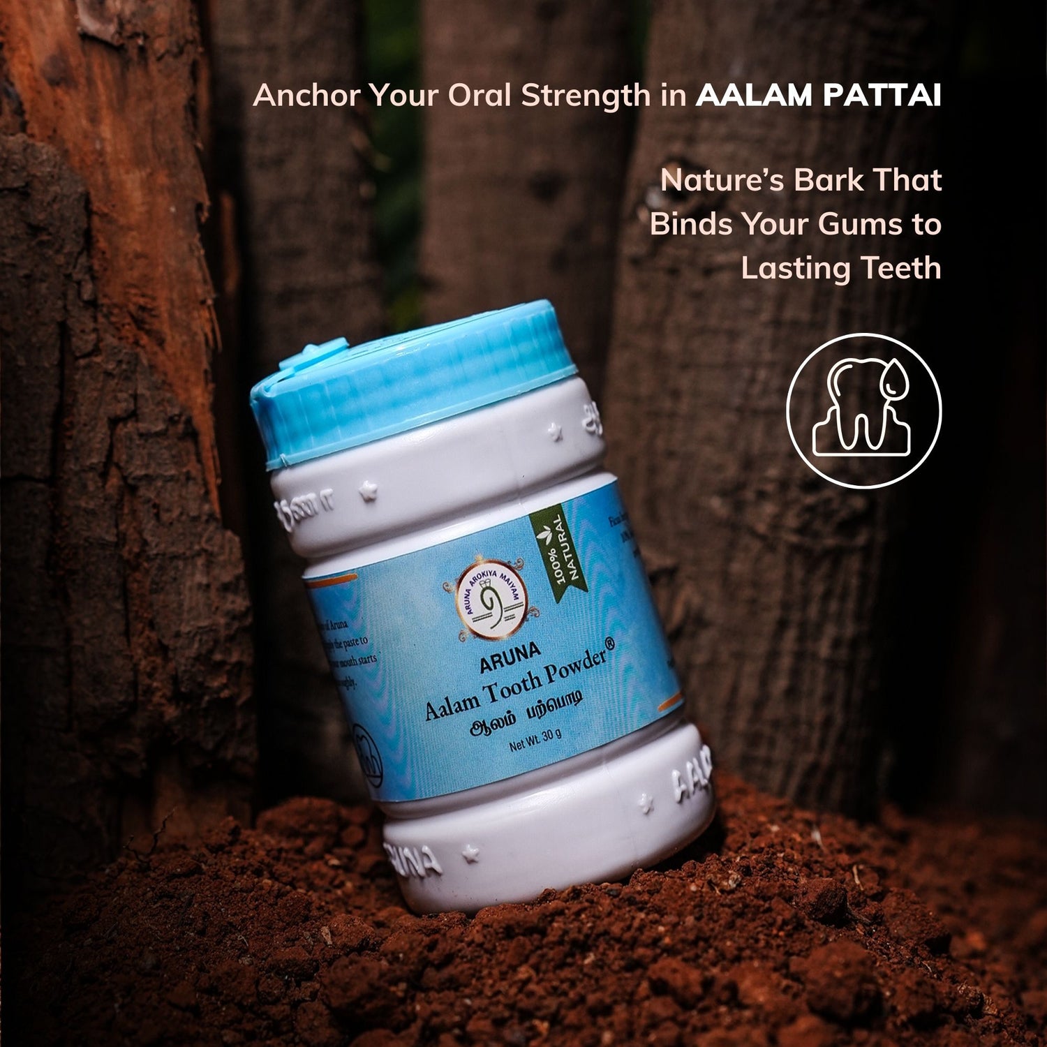 Aalam Tooth Powder