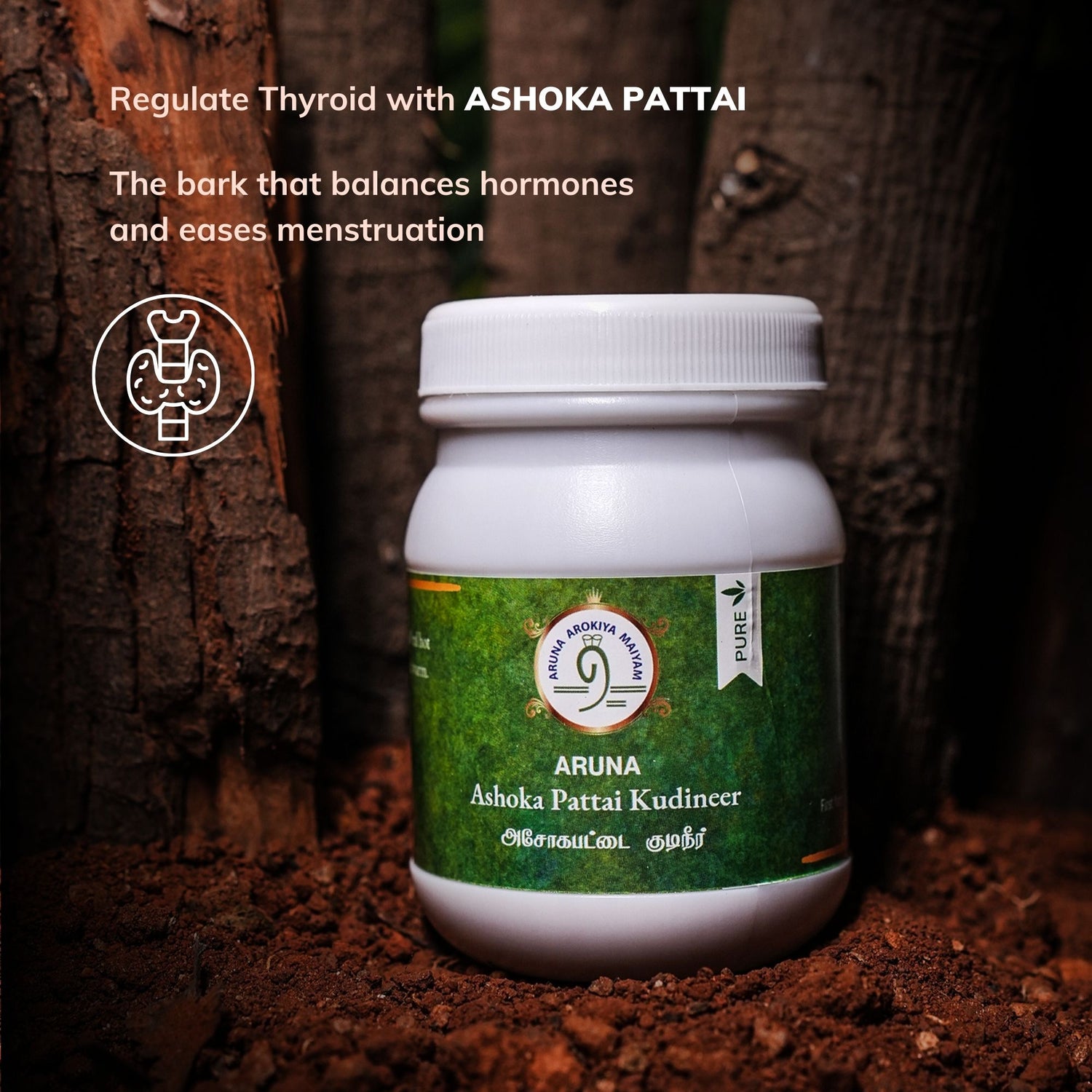 Ashoka Pattai Kudineer