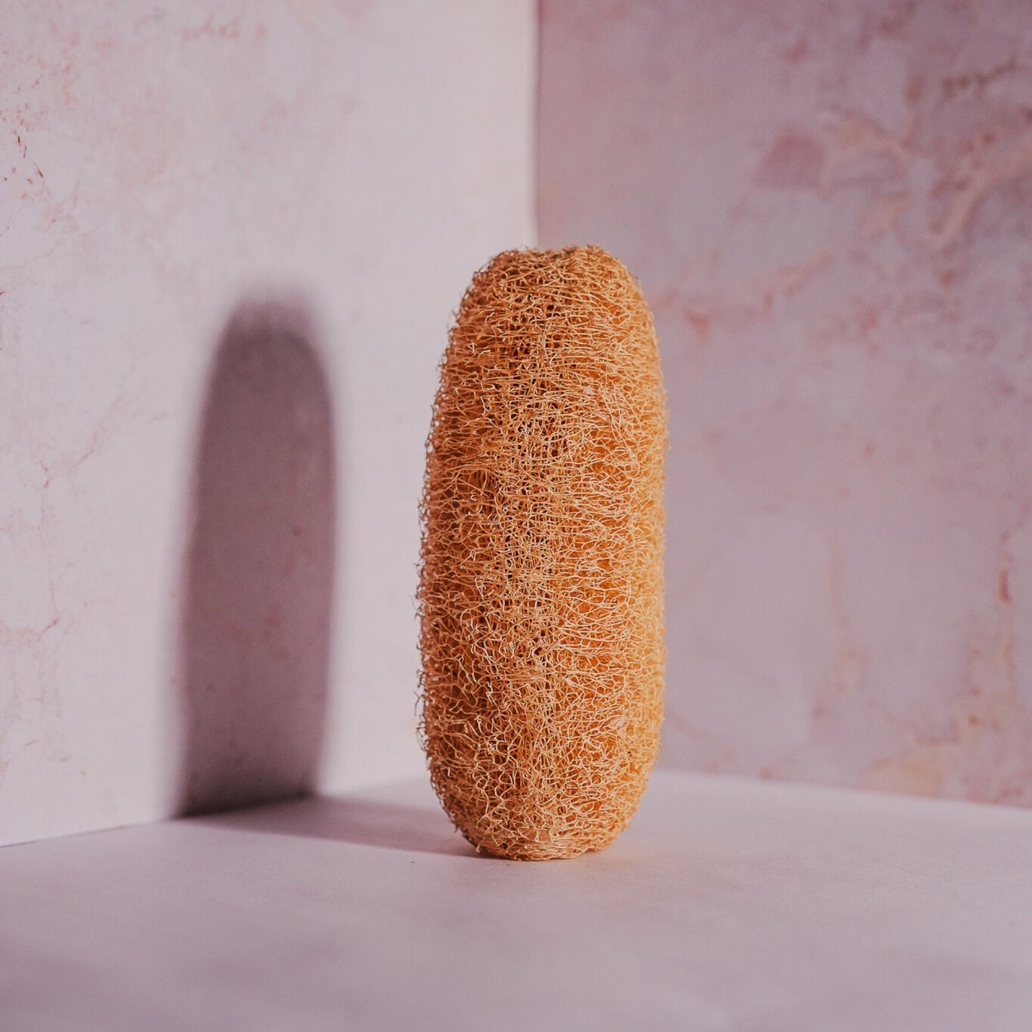 Natural Loofah - Skin Exfoliation, Body Cleanser.